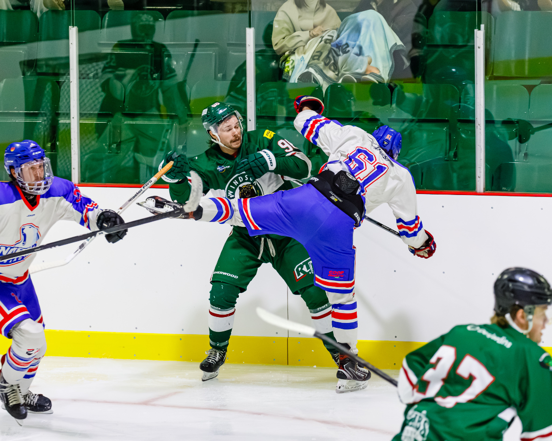 wild_debut_saison_2