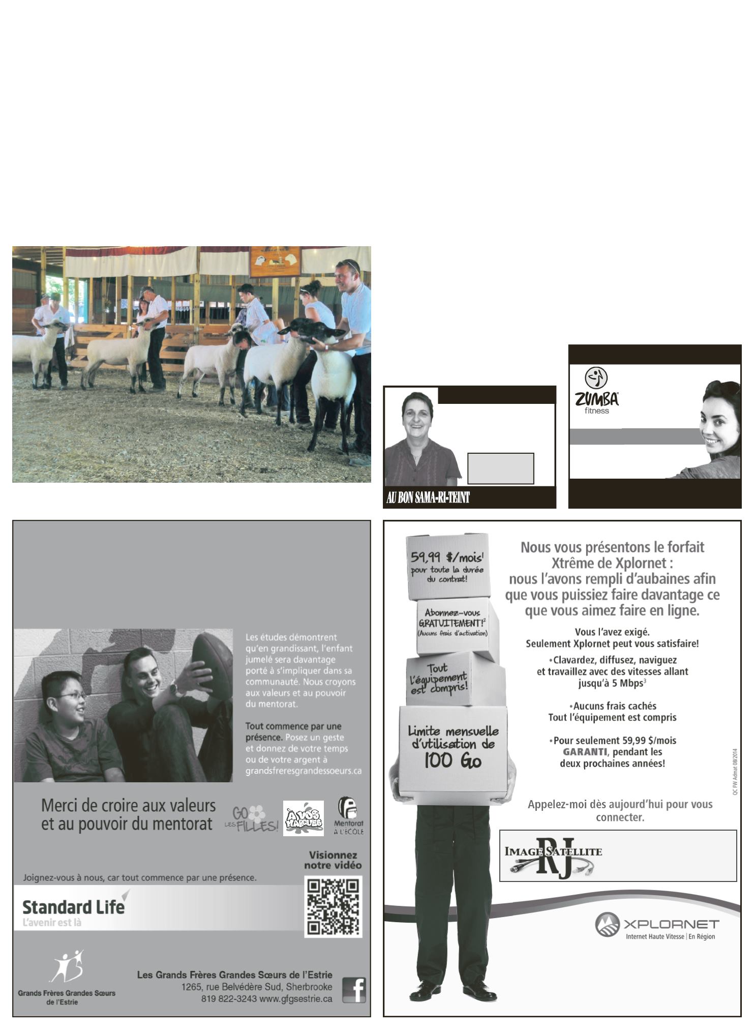 Page Background