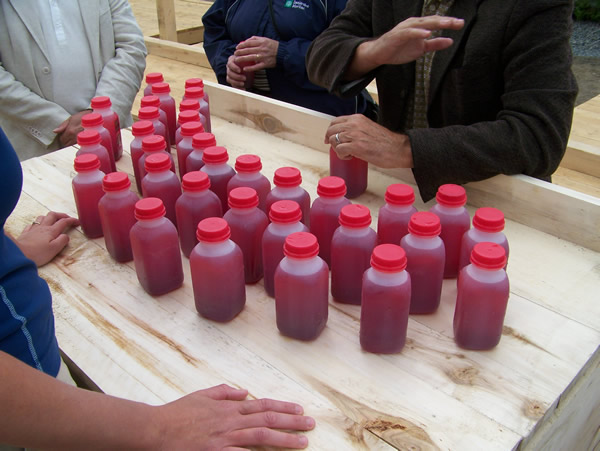 Marché Locavore
