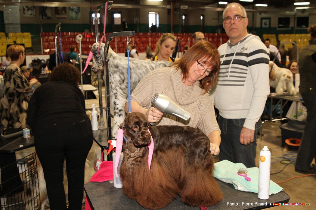 Expo canine 2016