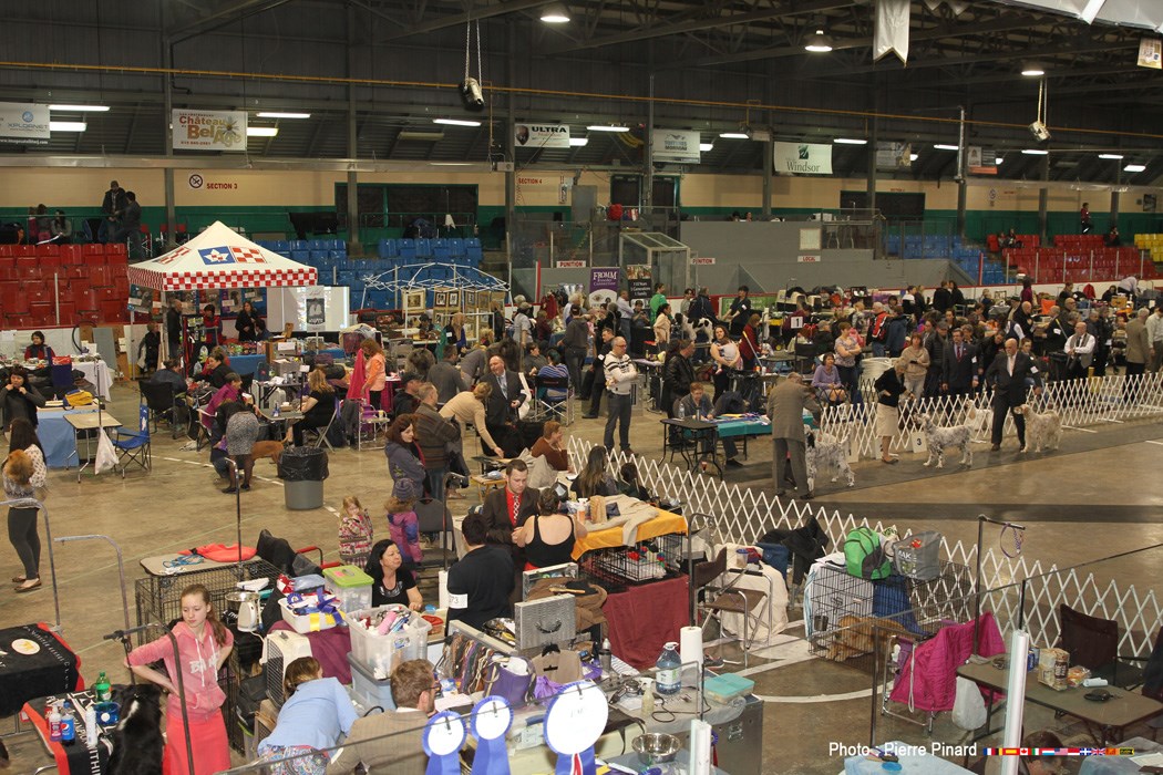 Expo canine 2016