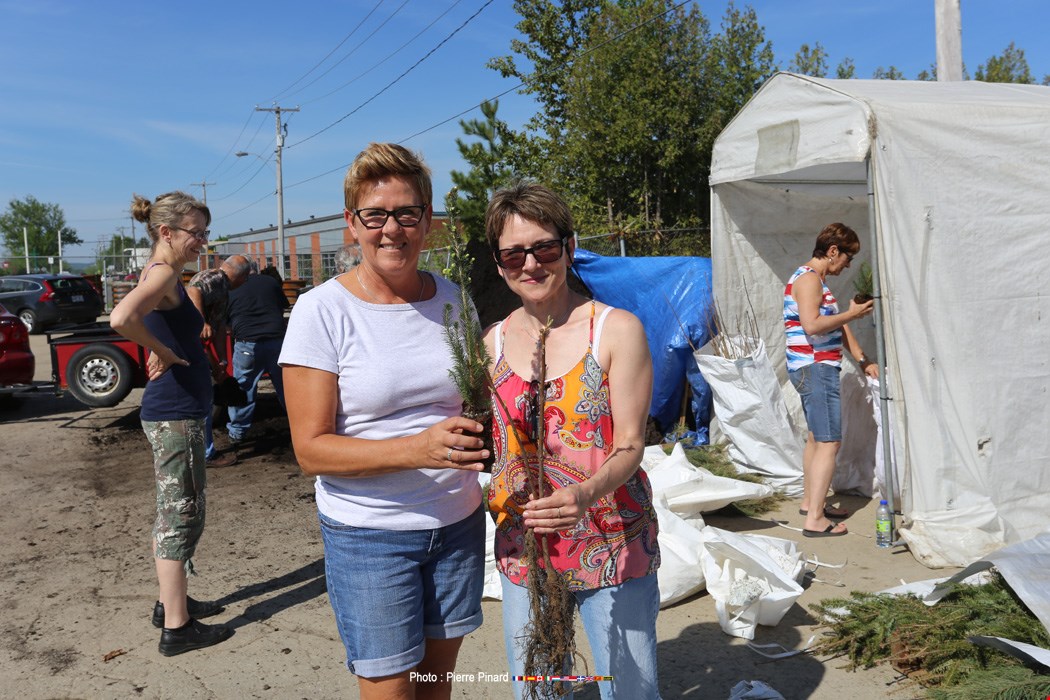 Distribution de compost à Windsor