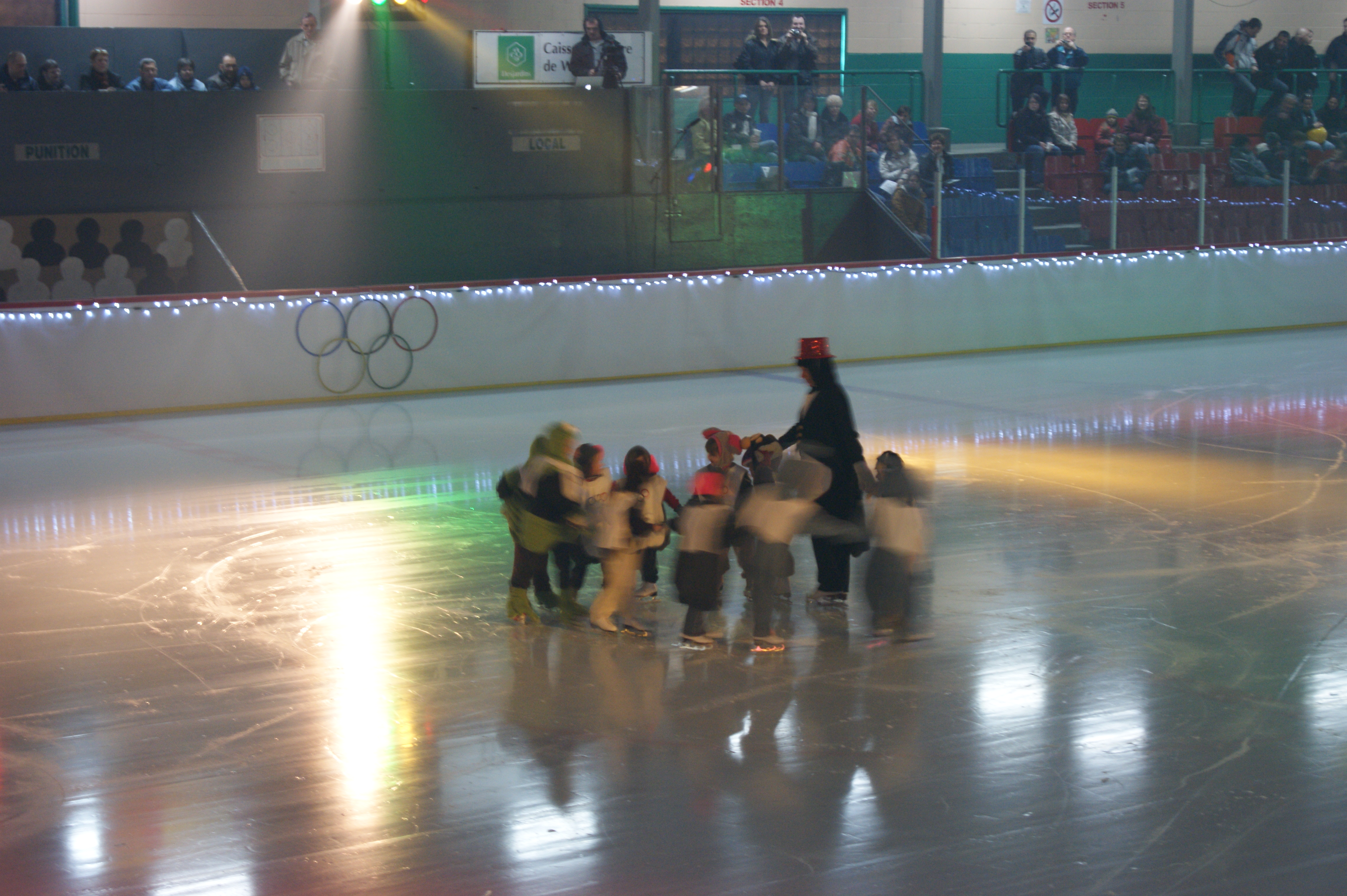 cpa 2010 