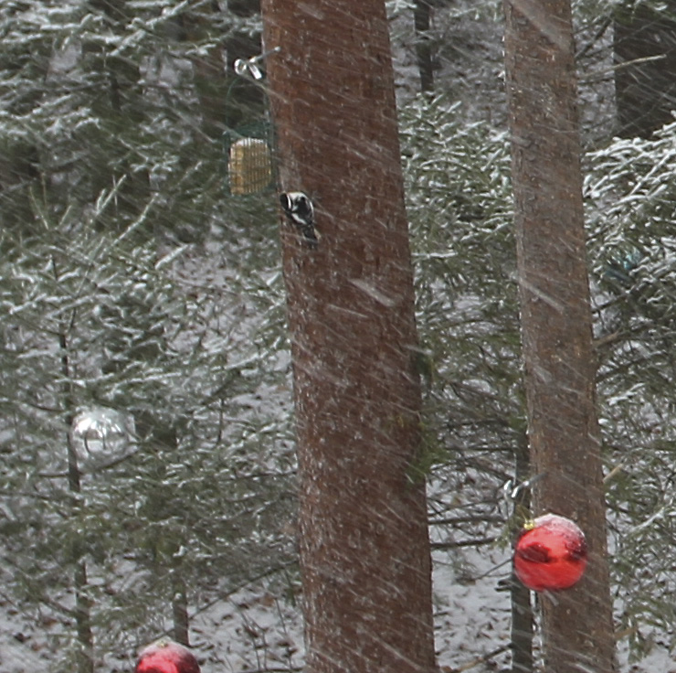 L'hiver s'annonce