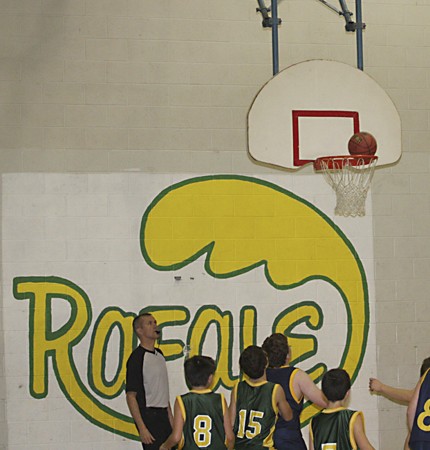 Basket au Tournesol