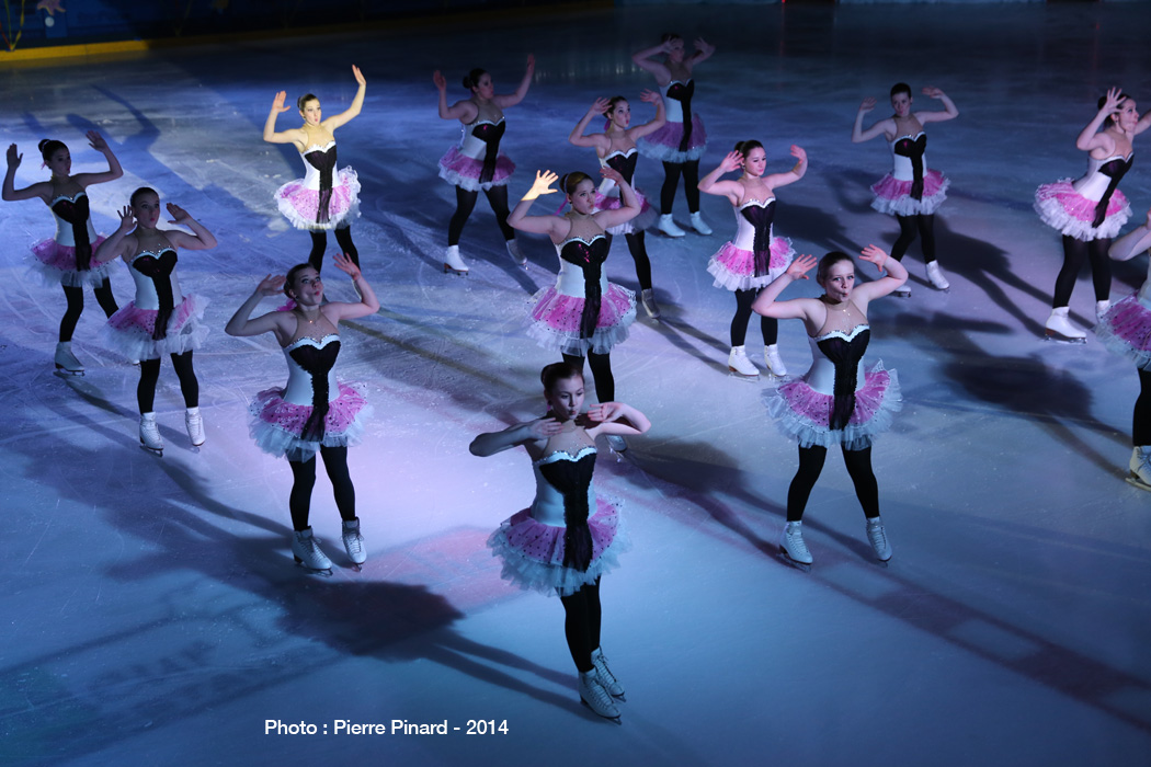Patins d'argent 2014