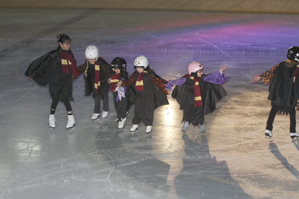 44e spectacle des Patins d'argent