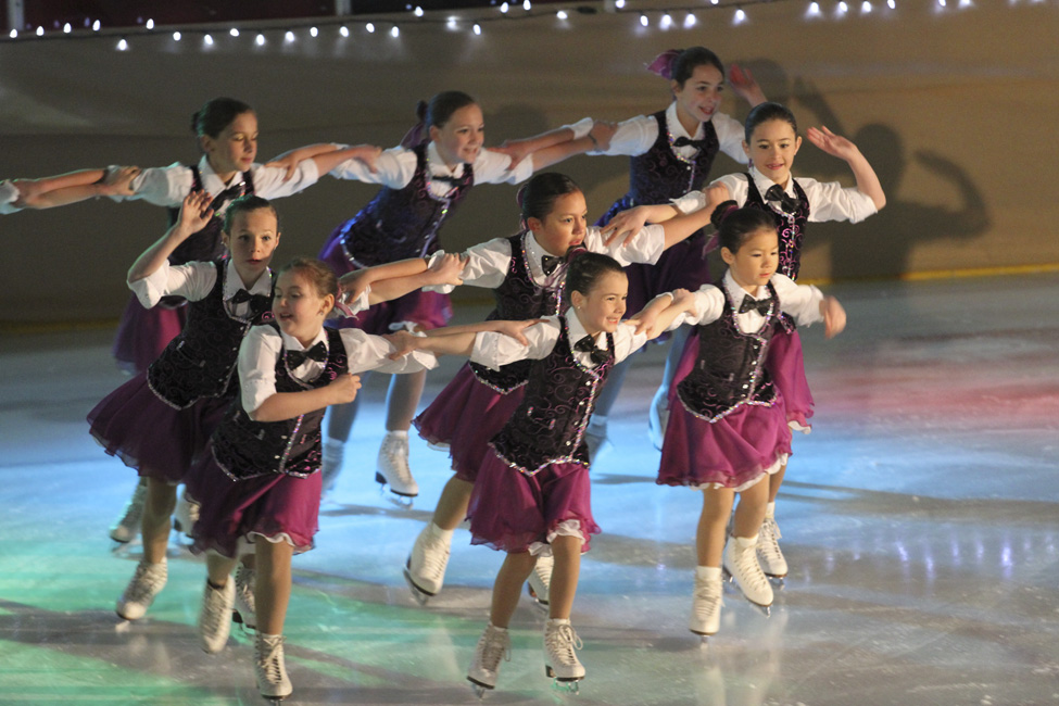44e spectacle des Patins d'argent