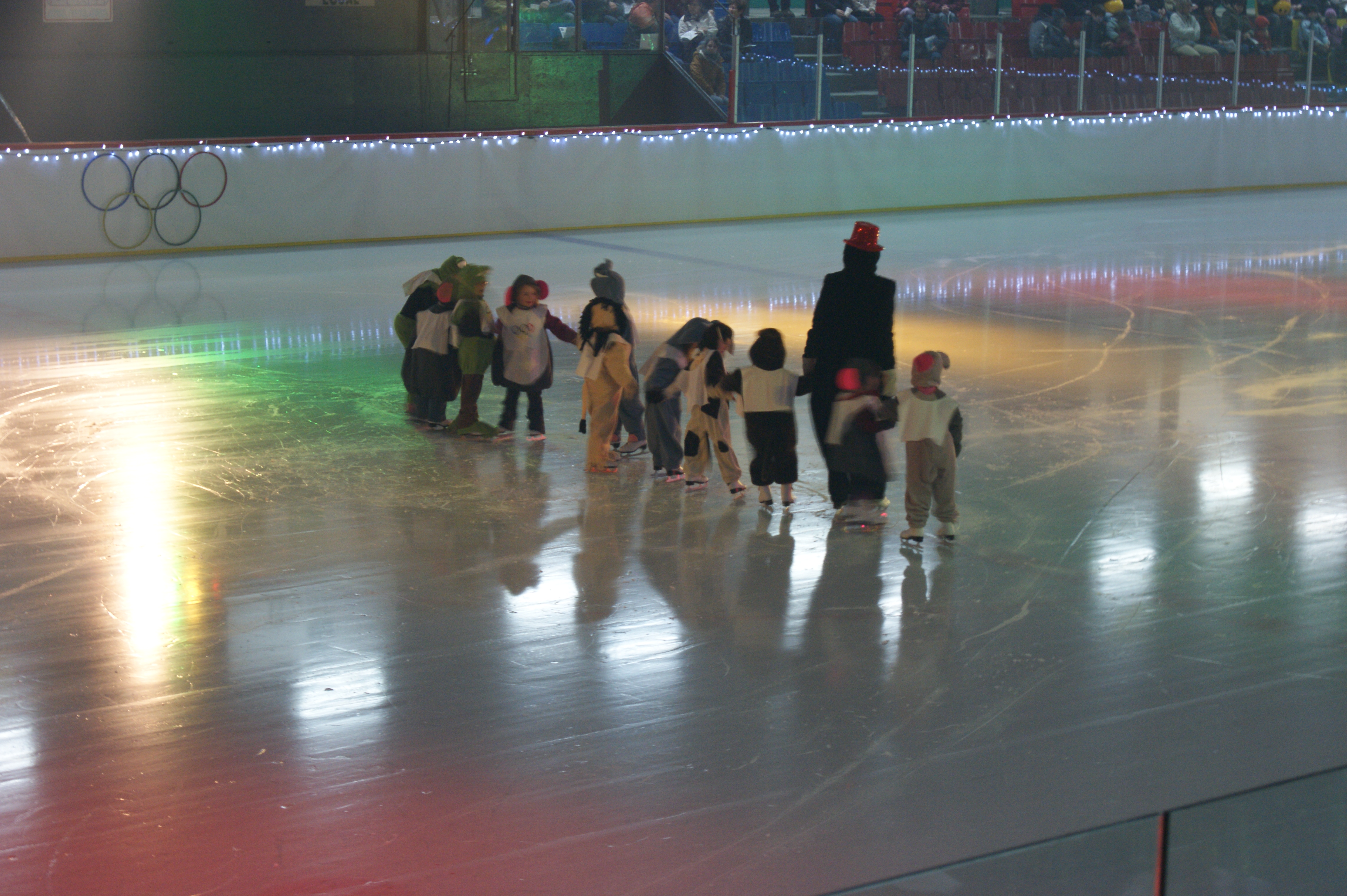 cpa 2010 
