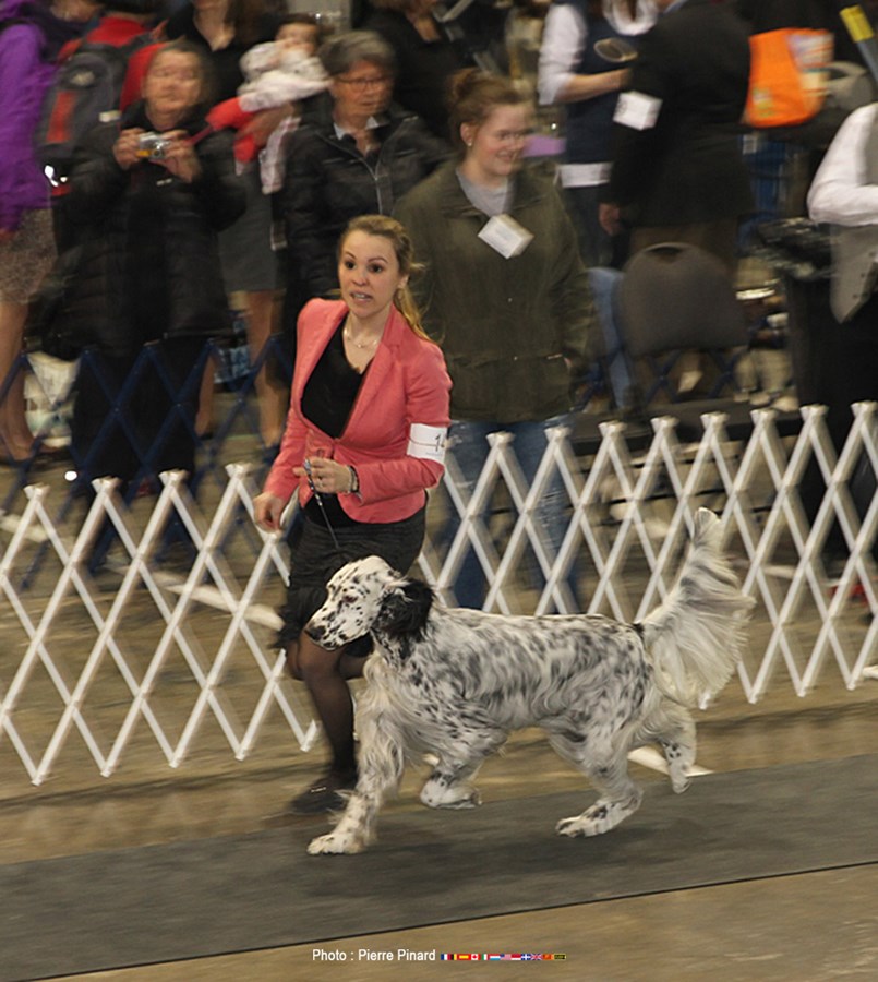 Expo Canine 2016