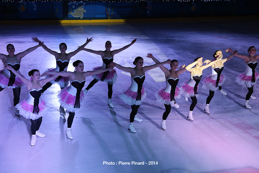 Patins d'argent 2014
